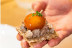 Curso de Cocina: Workshop de Pintxos (Vizcaya)