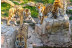 Cuidador por un Día y Entrada a Terra Natura Benidorm (Alicante)