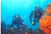 Curso de Buceo Open Water Diver (Granada)