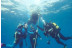 Curso de Buceo Open Water Diver (Granada)