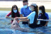 Encuentro con Delfines en Selwo Marina Delfinarium (Málaga)