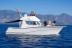 Dolphin Trip: Avistamiento de Delfines en Barco (Fuengirola, Málaga)
