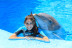 Encuentro con Delfines, Nadar con Leones Marinos o Vip Tour en Mundomar (Alicante)