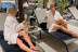 Desayuno Buffet, Zona Wellness y Masaje para dos en Serena Spa en Meliá Madrid Princesa 5* (Madrid)