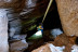 Descenso en Barranco Seco (Tenerife)