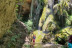 Descenso de Barrancos (Castellar del Vallés, Barcelona)