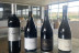 Visita a Bodega Dominio Lubiano con Cata de 3 Vinos y Aperitivo (Pesquera de Duero, Valladolid)