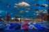 Dormir con Tiburones en L'Aquàrium de Barcelona (Barcelona)