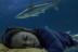 Dormir con Tiburones en el Oceanogràfic (Valencia)