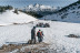 Escapada Dormir en la Nieve: Cena, Noche, Desayuno, Moto de Nieve, Raquetas de nieve y Construcción de Iglús para dos (Huesca)