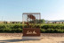 In Malleolus Veritas: Visita a Bodega, Aperitivo y Cata Premium de Vino en Bodegas Emilio Moro (Pesquera de Duero, Valladolid)