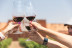 In Malleolus Veritas: Visita a Bodega, Aperitivo y Cata Premium de Vino en Bodegas Emilio Moro (Pesquera de Duero, Valladolid)