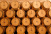 Visita a Bodegas Castiblanque con Cata de Vino y Comida (Campo de Criptana, Ciudad Real)