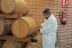 Visita a Bodegas Castiblanque con Cata de Vino y Comida (Campo de Criptana, Ciudad Real)