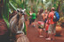 Entrada a Oasis Wildlife Fuerteventura (La Lajita, Fuerteventura)