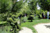 Oferta: Entrada a El Bosque Encantado y Dinolandia (Madrid)