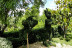 Oferta: Entrada a El Bosque Encantado y Dinolandia (Madrid)