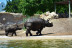 Entrada Combinada a Terra Natura y a Aqua Natura (Benidorm, Alicante)
