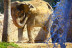 Entrada a Terra Natura (Benidorm, Alicante)