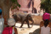 Entrada a Terra Natura (Benidorm, Alicante)