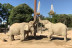 OFERTA EXCLUSIVA: Entrada al Zoo de Barcelona (Barcelona)