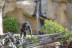 OFERTA: Entradas al Bioparc Fuengirola (Málaga)