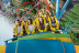 Entrada para 1 día en PortAventura Park (Tarragona)