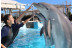 Entrada All Inclusive VIP: Entrada a Selwo Marina, Encuentro con Delfines, Comida y Bebida (Málaga)