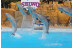 Entrada All Inclusive VIP: Entrada a Selwo Marina, Encuentro con Delfines, Comida y Bebida (Málaga)