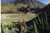 Entradas al Teleférico del Teide y Audioguía (Tenerife)