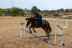 Clase de Equitación en Club Hípico Legend (Villajoyosa, Alicante)