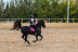 Clase de Equitación en Club Hípico Legend (Villajoyosa, Alicante)