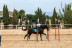 Clase de Equitación en Club Hípico Legend (Villajoyosa, Alicante)