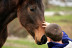 Clases de Equitación en Pony para Niños en La Finca Pony Club (Bétera, Valencia)