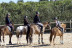 Clases de Equitación en Pony para Niños en La Finca Pony Club (Bétera, Valencia)