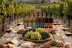 Visita y Cata de Vinos en Bodega Es Fangar Vins (Mallorca)