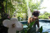 Escapada Relax con Circuito Spa "Aguas saludables" para dos en Balneario de Lanjarón 4* (Lanjarón, Granada)