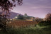 Escapada con Jacuzzi Privado y Visita a Bodega con Degustación para dos (La Rioja)