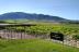 Escapada con Spa en Hotel Lodomar Spa & Talasoterapia 4* y Visita a Bodega Madrid Romero con Cata y Aperitivo para dos (Murcia)