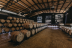 Escapada con Spa en Hotel Lodomar Spa & Talasoterapia 4* y Visita a Bodega Madrid Romero con Cata y Aperitivo para dos (Murcia)