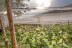 Escapada en Balneario de Panticosa 4* y Visita a Bodegas Bal Minuta con Cata de Vino para dos (Huesca)
