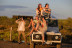 Escapada con Desayuno en Hotel Rull con Ruta en 4x4, Paseo en Barco y Degustación para dos por el Delta del Ebro (Tarragona)