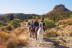 Escapada con Piscina y Jacuzzi en Apartamentos Oasis de la Cala con Paseo a Caballo para dos por la Montaña con Vistas al Mar (Alicante)
