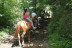 Escapada de Aventura con Spa y Rafting o Paseo a Caballo en Hotel Riberies 4* (D-J) (Llavorsí, Lleida)