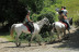 Escapada de Aventura con Spa y Rafting o Paseo a Caballo en Hotel Riberies 4* (D-J) (Llavorsí, Lleida)