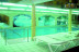 Escapada Relax con Circuito Spa en Hotel Roc Blanc 4* (Andorra)