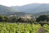 Escapada con Spa en Hotel Beatriz Toledo Auditorium & Spa 4* y Visita a Bodegas Canopy con Cata y Aperitivo para dos (Toledo)