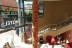 Escapada con Cena en Hotel Fonda Neus (Sant Sadurní d'Anoia, Barcelona)