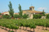 Escapada con Spa en Hotel Mas Passamaner 5*, Visita al Celler Mas Foraster y Cata de Vinos para dos (Tarragona)