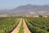 Escapada con Spa en el Iberik Rocallaura Balneari 4* y Visita al Celler Mas Foraster (Lleida y Tarragona)
